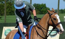 Introduction To Polo In Berkshire
